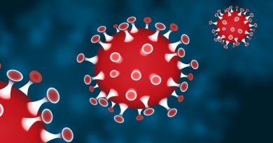 Informationen zur Lage Coronavirus im Landkreis Stendal Informationen zur Lage Coronavirus im Landkreis Stendal